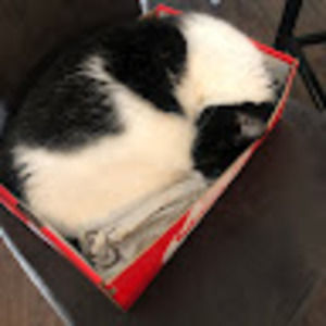 Meet your Posher, Max